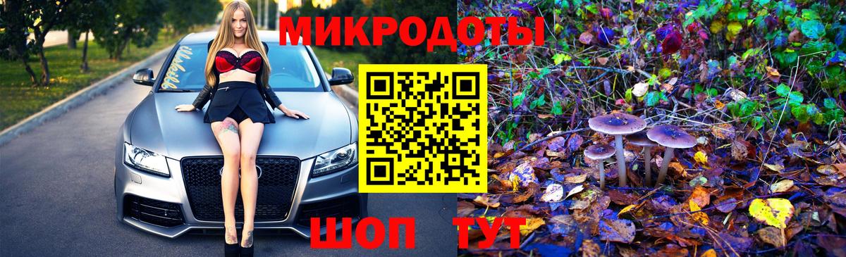 Галлюциногенные грибы Cubensis Фролово