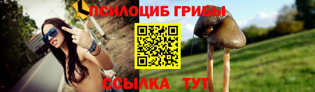 Фролово  Галлюциногенные грибы мухоморы  Вход с VPN 